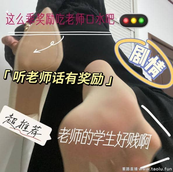 酒鸽 – 老师的奖励