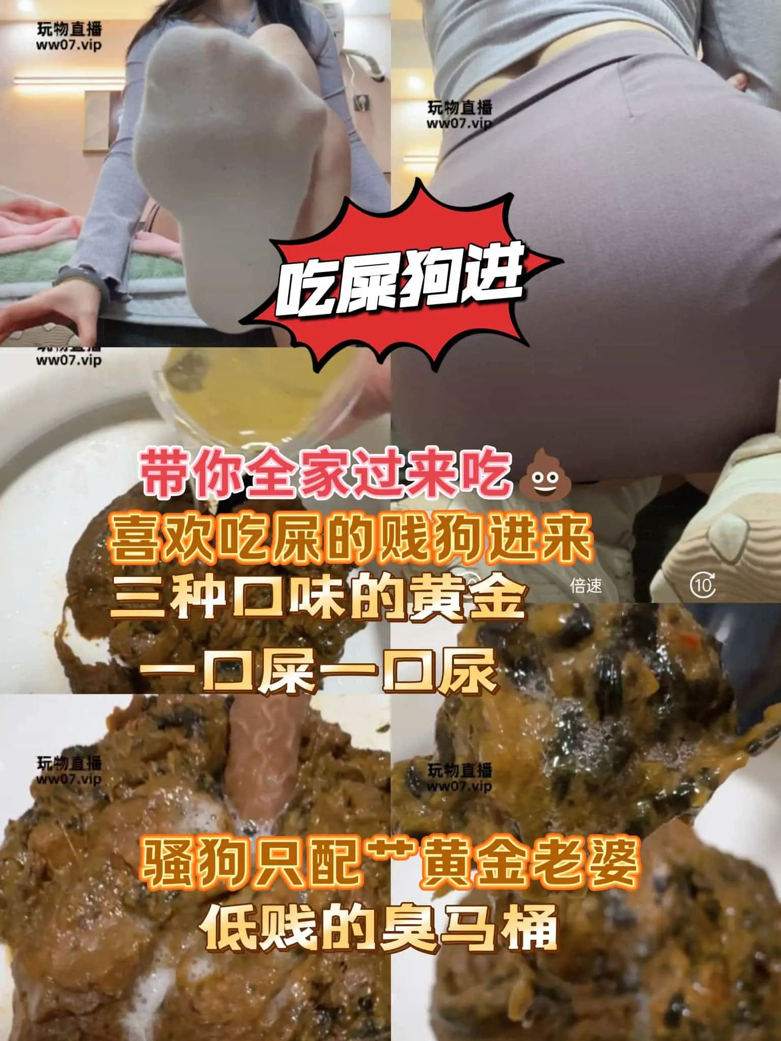 兔兔酱sama – 吃屎臭马桶进